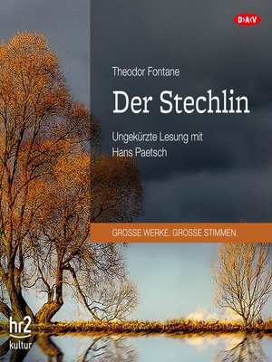 cover image of Der Stechlin
